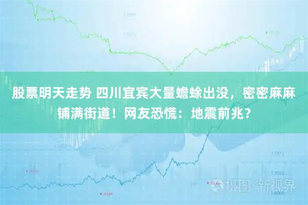 股票明天走势 四川宜宾大量蟾蜍出没，密密麻麻铺满街道！网友恐慌：地震前兆？